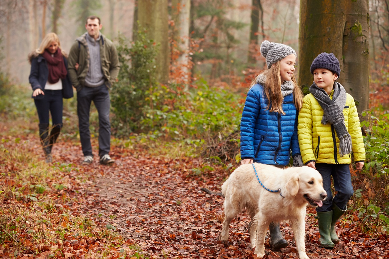 Family walking through the forest with their golden retriever dog