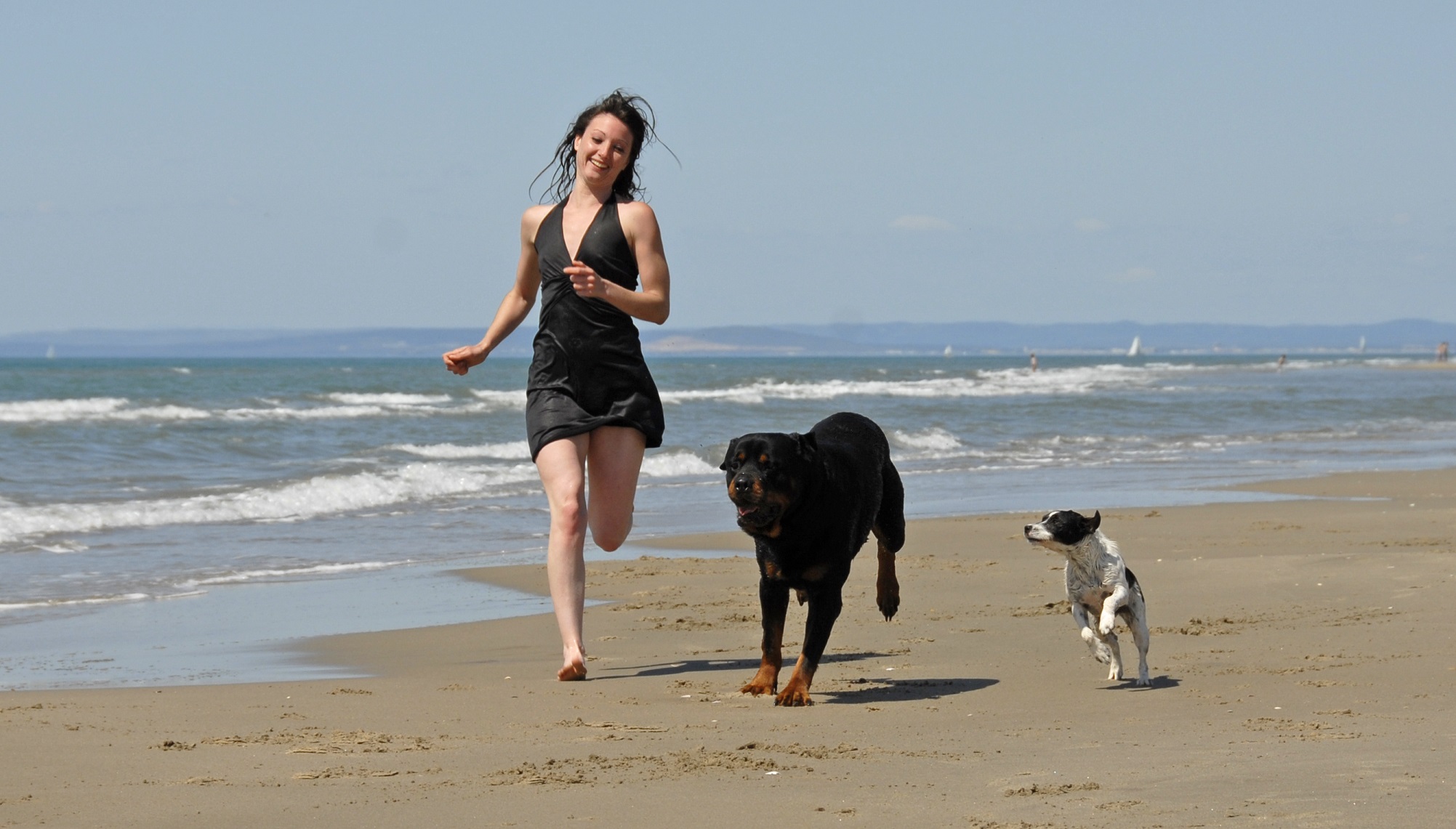 Woman and dogs running on a beach
